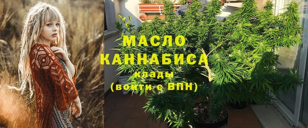молекула духа Майский