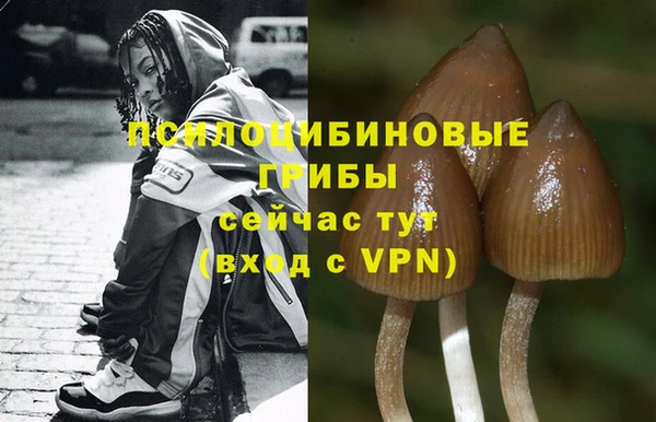 мдпв Магадан